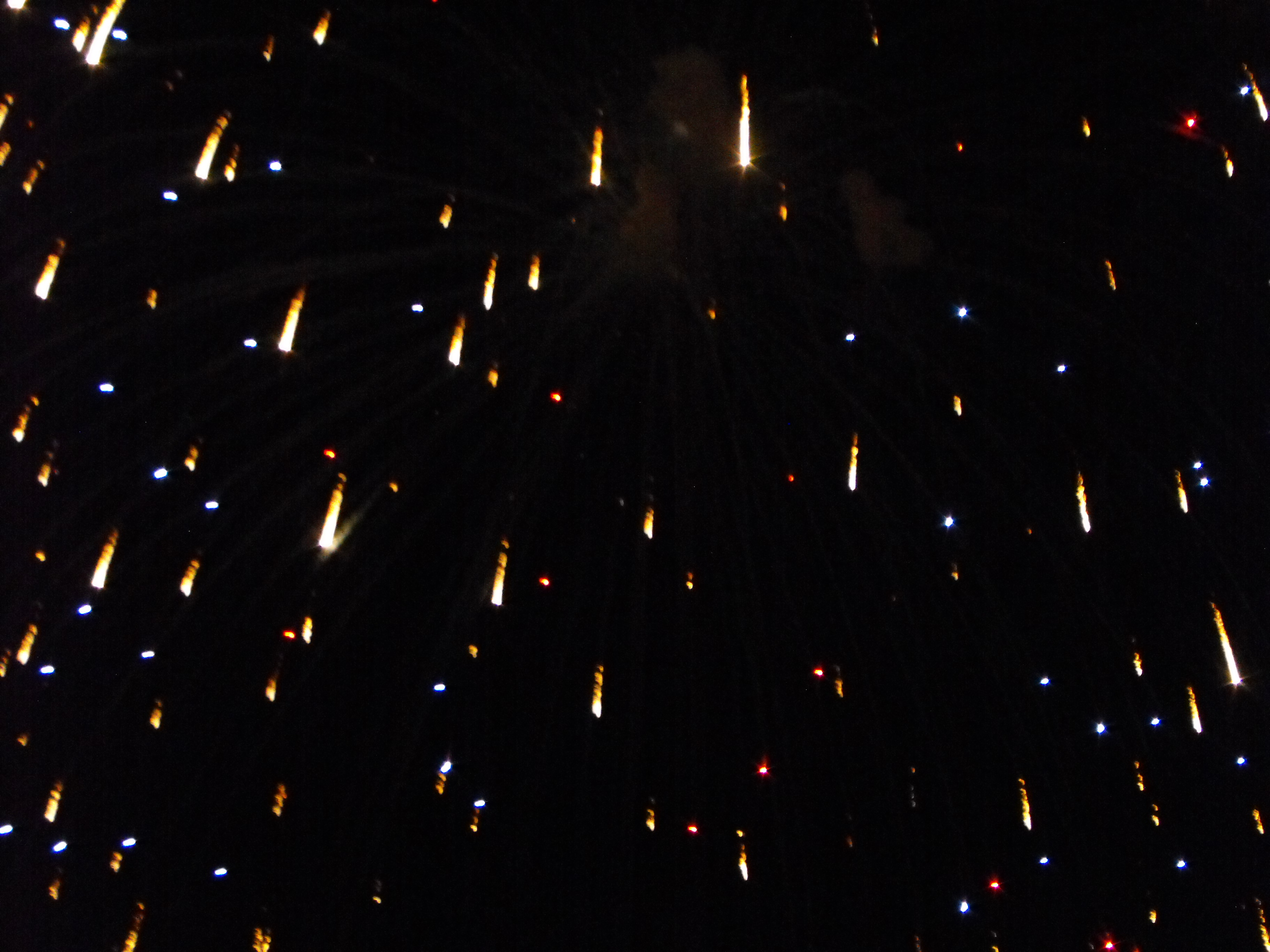 ./2010/Fourth of July/4th July Fireworks Wilm 0069.JPG